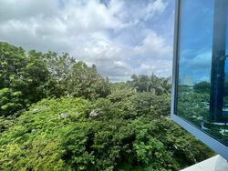 Sanctuary Green (D15), Condominium #557302371